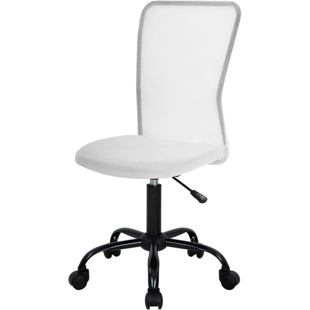 image:imageFDW Home Office Chair Mid Back Mesh Desk Chair Armless Computer Ergonomic Task Rolling Swivel Chair Back Support Adjustable Modern with Lumbar SupportBlueWhite